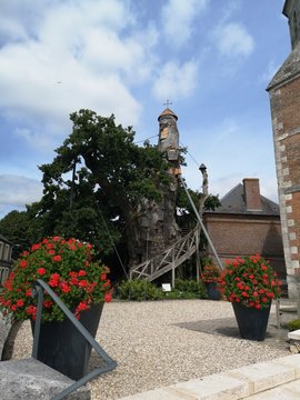 Casa &aacute;rbol de cuento