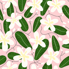 Seamless white frangipani flower and leaf on pink background. Hand drawn vector of floral repeat pattern.