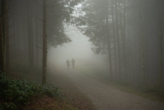 Anonymous couple walking through a misty forest