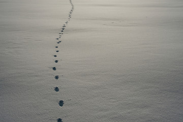 Human footprints in simple alpine landscape