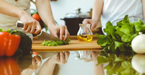 Closeup of human hands cooking in kitchen. Mother and daughter or two female friends cutting...
