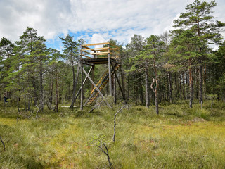 landscape overlooking the tower in the bog, surrounded by the bog view