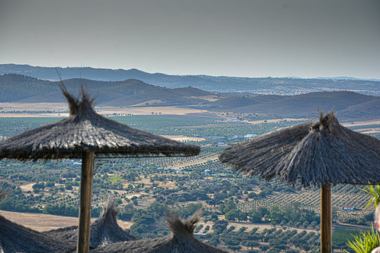 Landscape with sown lands and chamizo umbrellas.