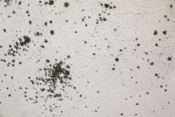 Dot shaped dirt on white cracked concrete  surface 