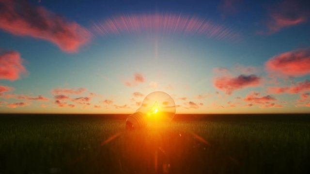 Traditional light bulb on a green meadow against beautiful sunset, hd