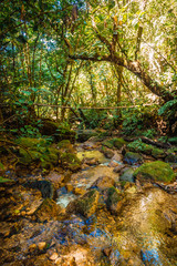 The river of the Cerro Azul Meambar National Park (Panacam) in Yojoa. Honduras