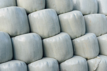 bottes de paille bottes de foin protégées par une enveloppe plastique 
