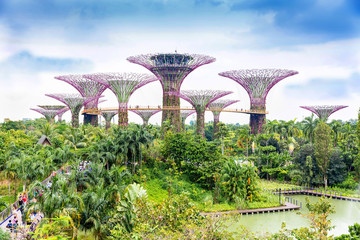 SINGAPORE-MARCH 6,2016 : Day view of The Supertree Grove at Gardens by the Bay on MARCH 6,2016 in Singapore. Spanning 101 hectares, and five-minute walk from Bayfront MRT Station.