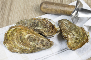 hu&icirc;tres fran&ccedil;aises Marennes Ol&eacute;ron sur une table