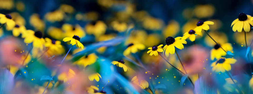 Small yellow bright summer flowers on a background of blue and green foliage in a fairy garden. Macro artistic image. Banner format.