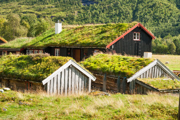Fototapeta na wymiar Norwegian house with grass roof