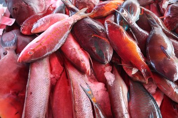Guadeloupe fish market