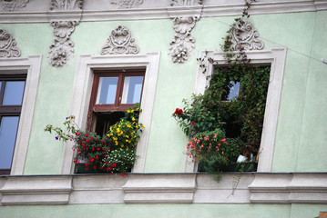 Fototapeta na wymiar Fenster mit üppigem Blumenschmuck.