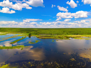 Obraz na płótnie Canvas Summer landscape on the lake with a reflection in the water of the blue sky and a bird's eye view