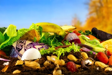 A compost heap consisting of rotting kitchen vegetables, eggshells and teabags is decomposed by...