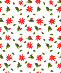 A seamless pattern with a floral pattern for decoration on a white background