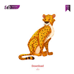 colorful tiger animal vector icon for graphic design