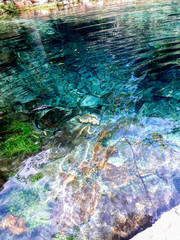 Nascente azul 