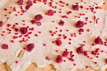 fresh raspberries are evenly distributed on a layer of butter cream for making a roll