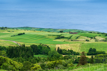 Lush and vibrant green countryside agricultural landscape