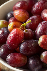 Raw Organic Purple Red Grapes