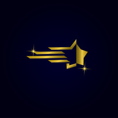 Star Logo Design Vector For Print