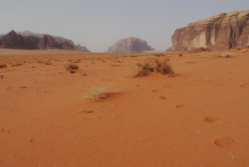 Fototapeta na wymiar famous Wadi Rum desert with different rock formations, Jordan, Middle East