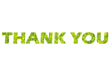 The word Thank you from yellow-green flowers on a white isolated background