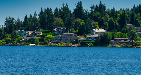 2019-07-29 Lake Washingtn Shoreline at Mercer Island