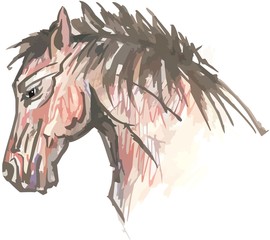 Colorful horse head on a white background. Sketch of horse head with artistic line for sports emblems, tattoo, prints on t-shirts, etc.