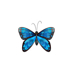 colorful butterfly animal vector icon for graphic design