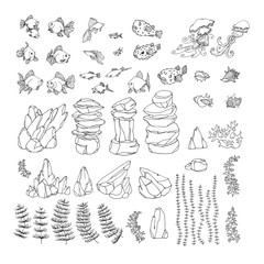 set of decorative aquarium elements, goldfish, shell, rock, puffer, neon, jellyfish, algae, vector illustration with black contour lines isolated on white background in Doodle and hand drawn style