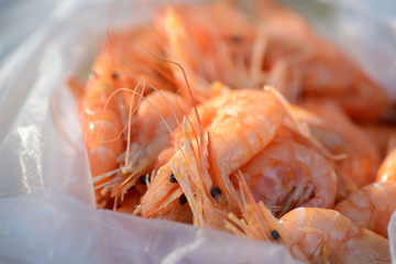 Little shrimps in a plastic bag upclose