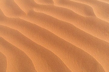 Sand Dune in the Sahara / Nature background of Sandduene in the Sahara Desert, Morocco, Africa.