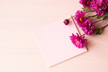 Valentines day background. Valentine day composition with flowers, space for text. Greeting card template. Concept of Happy Valentine day. Mothers day, 8 March card. Spring flowers on white background