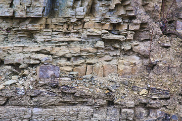Shell limestone rocks in an old quarry