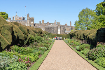 Une allée bordée d'ifs du jardin du Château de Walmer