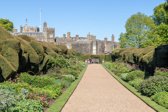Une all&eacute;e bord&eacute;e d'ifs du jardin du Ch&acirc;teau de Walmer