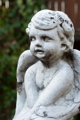 statue of angel in cemetery