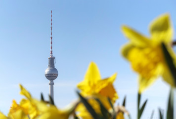 Berliner Fernsehturm im Frühjahr © Katja Xenikis