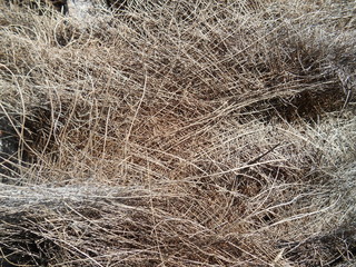 FONDO ABSTRACTO NATURAL OCRE