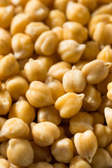 Raw Organic Garbanzo Beans Chickpeas