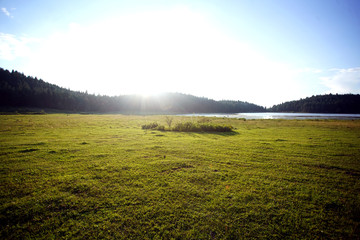 Blue sky, green grass and lake landscape