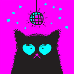 Funny disco cat face