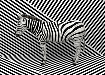 Obrazy na Szkle  Dzikie zwierzę zebra stojące w pomieszczeniu, łączące się z czarno-białym tłem w paski. Koncepcyjna ilustracja kreatywnych. Renderowanie 3D.