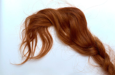 A lock of red hair on a white background. Red-haired girl's hair