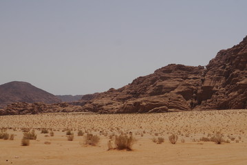 desert in wadi rum jordan