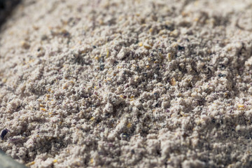 Naklejka premium Raw Blue Organic Cornmeal