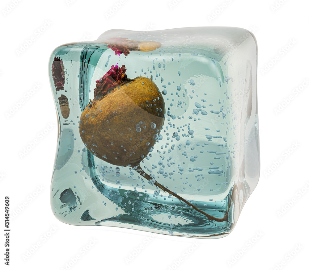 Poster beetroot frozen in ice cube, 3d rendering