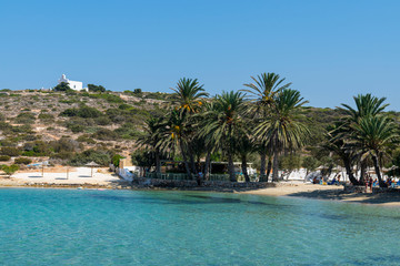 Agia Irini beach with exotic palms on Paros island in Greece